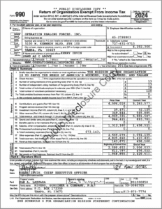 Operation Healing Forces 990 2024